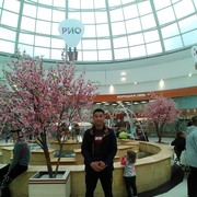  -,   , 45 ,   ,   , c 