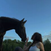 ���������� ������, ���� ������� �����, 24 ����, ������������ ��� ������, ����� � ���������