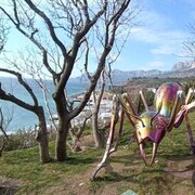 ���������� �����������, ���� ������� �������, 45 ���, ������������ ��� ������, ����� � ���������