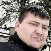  ,  Radic, 41