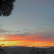 ���������� �������, ���� ������� Gigi, 37 ���, ������������ ��� ������, ����� � ���������, c�������� ���������