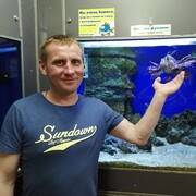 ���������� �����, ���� ������� ����, 41 ���, ������������ ��� ������, ����� � ���������, c�������� ���������