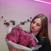 ���������� ����, ������� ���������, 33