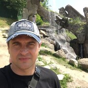 ���������� ����, ���� ������� ������, 41 ���, ������������ ��� ����� � ���������, c�������� ���������