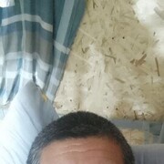  ,   , 53 ,   ,   