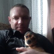  -,   , 41 ,   ,   , c 