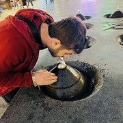 ���������� ���������, ���� ������� �����, 31 ���, ������������ ��� ������, ����� � ���������