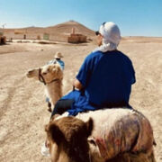 ���������� ����������, ���� ������� I O, 37 ���, ������������ ��� ������, ����� � ���������, c�������� ���������