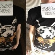 ���������� �������, ���� ������� Ilie, 29 ���, ������������ ��� ������