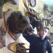 ���������� ������ �����, ���� ������� �����, 36 ���, ������������ ��� ����� � ���������, c�������� ���������