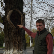  ,   , 45 ,   ,   , c 