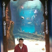 ���������� �������, ���� ������� Shok, 41 ���, ������������ ��� ������, ����� � ���������, c�������� ���������