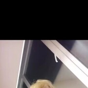  ,  , 20