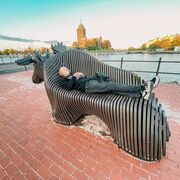 ���������� �����-���������, ���� ������� Tosha, 35 ���, ������������ ��� ������, ����� � ���������, c�������� ���������, ���������