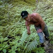  ,   , 41 ,   ,   , 