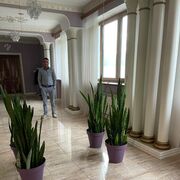  ,   Gevorg, 39 ,   ,   
