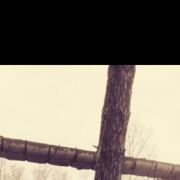 ���������� ��������, ���� ������� �������, 27 ���, ������������ ��� ������, ����� � ���������