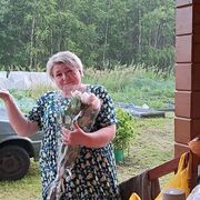  ,   , 55 ,   ,   