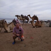 ���������� �����-���������, ���� ������� ���������, 62 ����, ������������ ��� ������, ����� � ���������, c�������� ���������