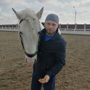 ���������� ����� �������, ������� ����, 38