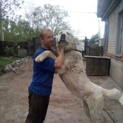 ���������� ���������, ���� ������� ����, 45 ���, ������������ ��� ������, ����� � ���������