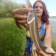  ,   , 39 ,  