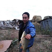 ���������� ���������, ���� ������� ����, 40 ���, ������������ ��� c�������� ���������