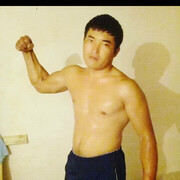 ���������� ������, ���� ������� Niku, 36 ���, ������������ ��� ������, ����� � ���������, c�������� ���������