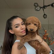  -,   , 22 ,   ,   
