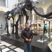  Warszawa,   , 58 ,   ,   