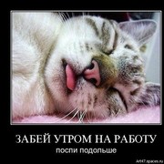 ���������� ��������, ���� ������� ����, 47 ���, ������������ 