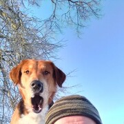 ���������� ������� �����, ���� ������� �������, 62 ����, ������������ ��� ������, ����� � ���������, c�������� ���������