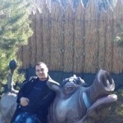  Gibbon,  , 42