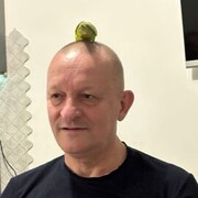 ���������� ���������, ���� ������� ����, 62 ����, ������������ ��� ����� � ���������