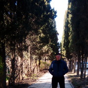  ,   , 55 ,  