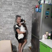 ���������� ������������, ���� ������� �����, 51 ���, ������������ ��� ����� � ���������, c�������� ���������