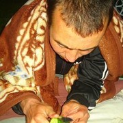 ���������� ���������, ���� ������� ������, 43 ����, ������������ 