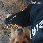 ���������� ������ ��������, ���� ����� �����, 24 ����, ������������ ��� ������, ����� � ���������