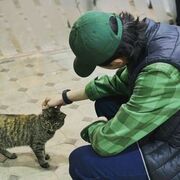 ���������� ���������������, ���� ������� ����, 26 ���, ������������ ��� c�������� ���������