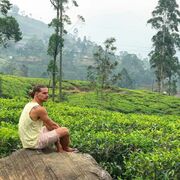 ���������� ������, ���� ������� �������, 37 ���, ������������ ��� ������, ����� � ���������, c�������� ���������, ���������