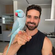 ���������� ����������, ���� ������� ������, 33 ����, ������������ ��� ������, ����� � ���������, c�������� ���������