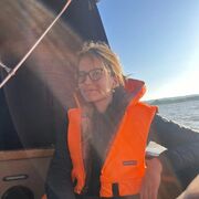 ���������� �����������, �������