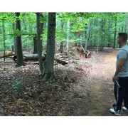 ���������� �������, ���� ������� ����, 45 ���, ������������ ��� ������, ���������