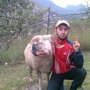 ���������� ������, ���� ������� ���������, 38 ���, ������������ ��� ������, ����� � ���������