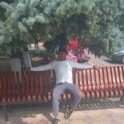  ,   , 41 ,     , c , 