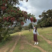 ���������� ������, ���� ������� �����, 38 ���, ������������ ��� ������, ����� � ���������, ���������