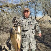 ���������� �������, ���� ������� ������, 63 ����, ������������ ��� ������, ����� � ���������, c�������� ���������