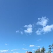 ���������� �����, ���� ������� ��������, 36 ���, ������������ ��� ������, ����� � ���������