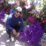 ���������� �����-���������, ���� ������� ������, 36 ���, ������������ ��� ������, ����� � ���������, c�������� ���������