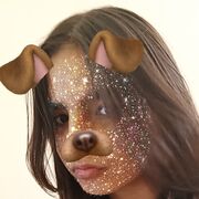  ,  , 24